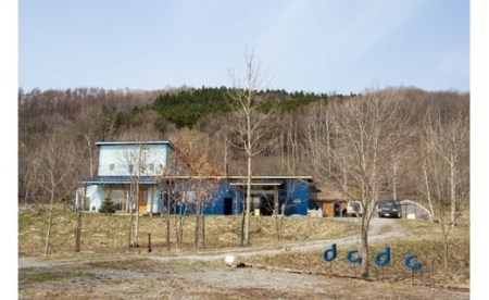 LPジャケットフレーム　カラー：ブルー ブルー