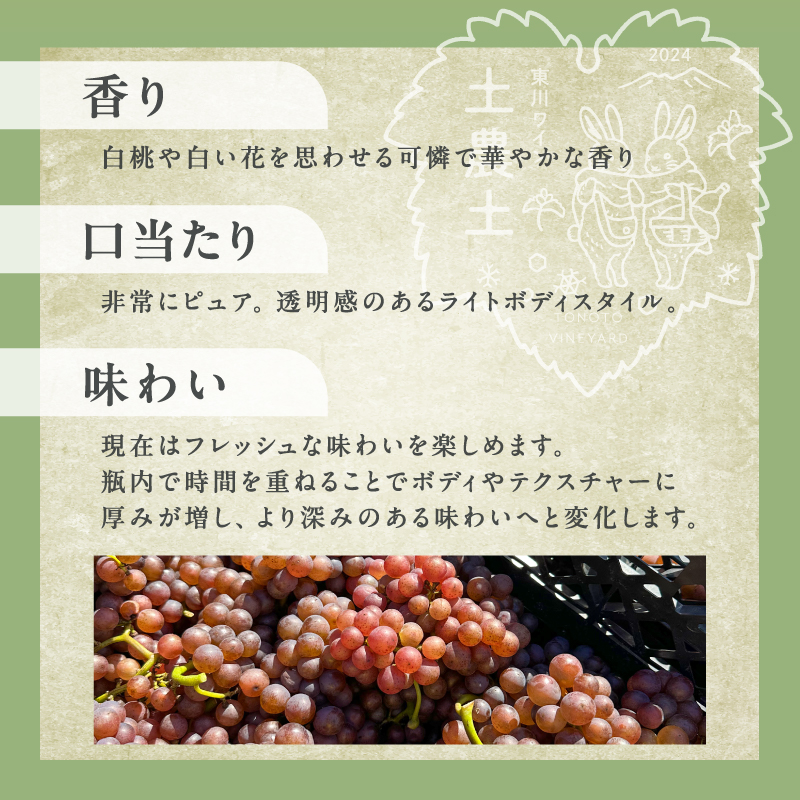 【大坪農園】TONOTO VINEYARD　トノトの白　2024（東川ワイン）