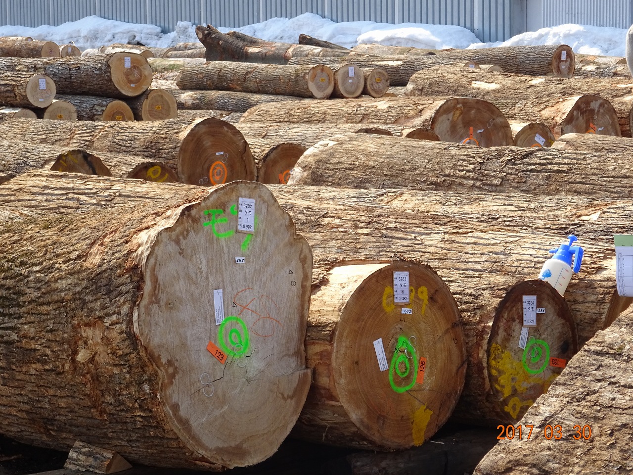 キャンプに最適！広葉樹の薪２箱セット【長さ：約430ｍｍ】 約430ｍｍ