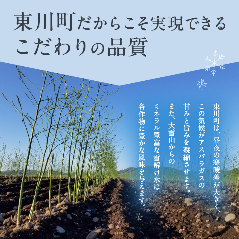 【大坪農園】≪2026年 先行予約≫ 春の恵み　北海道東川町産アスパラガス　2Lサイズ　1㎏