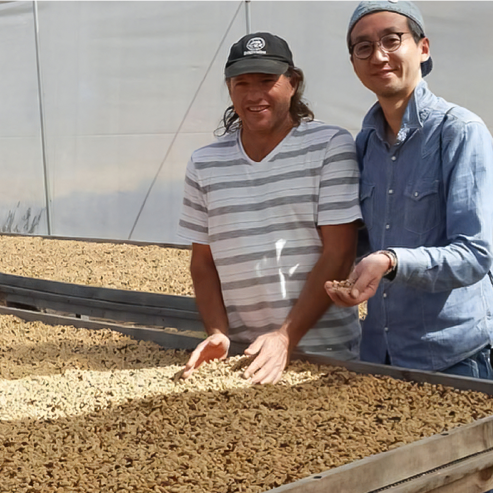 【定期便】「yoshinori coffee」スペシャルティコーヒーセット　３ヵ月コース【細挽き粉（家庭用エスプレッソ用）】