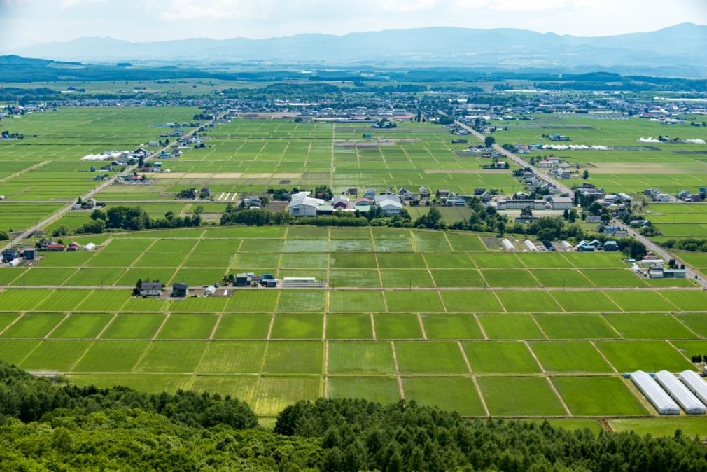 森からの贈り物キャンドルホルダー