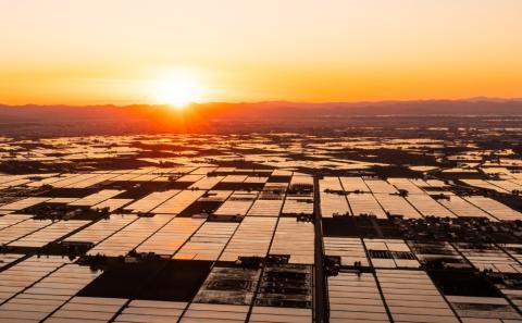 紫蘇ジュース（210ｍl×15本）