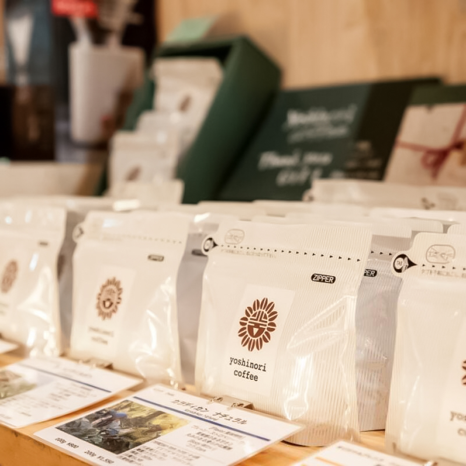 【定期便】「yoshinori coffee」スペシャルティコーヒーセット　３ヵ月コース【細挽き粉（家庭用エスプレッソ用）】