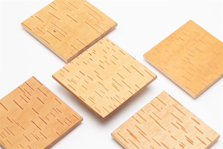 【木と暮らしの工房】シラカバ樹皮コースター（５枚組）