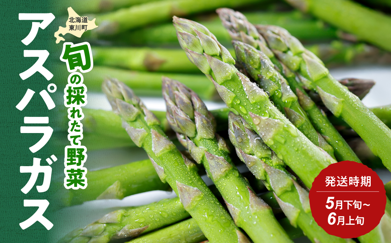 【5月下旬～6月上旬発送】旬の採れたて野菜「アスパラガス」