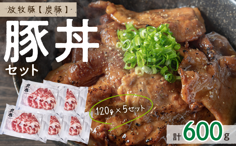放牧豚”炭豚”の豚丼セット(120g×5)