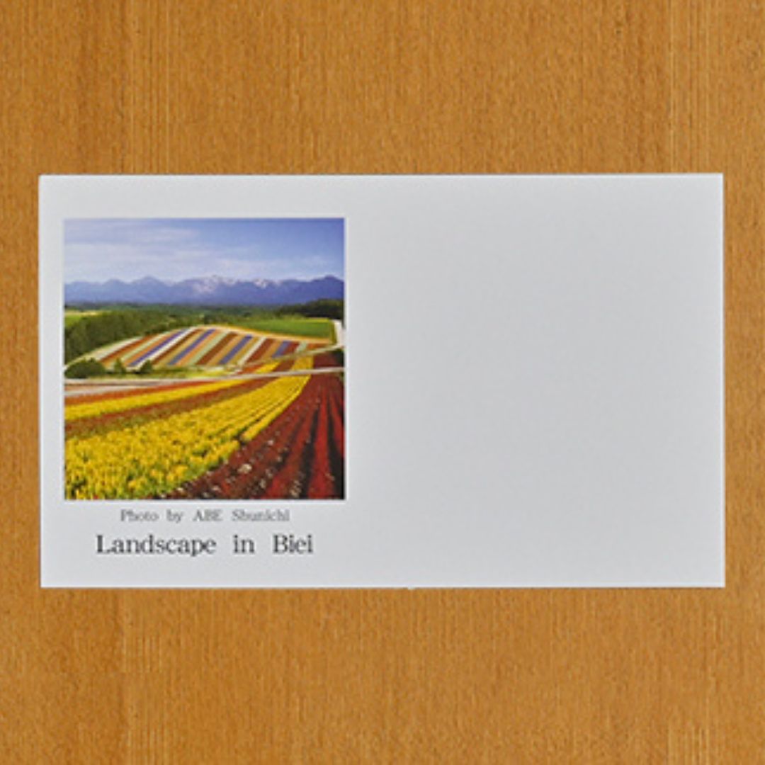 写真家　阿部俊一　名刺台紙・メッセージカード１００枚(A)[005-05]