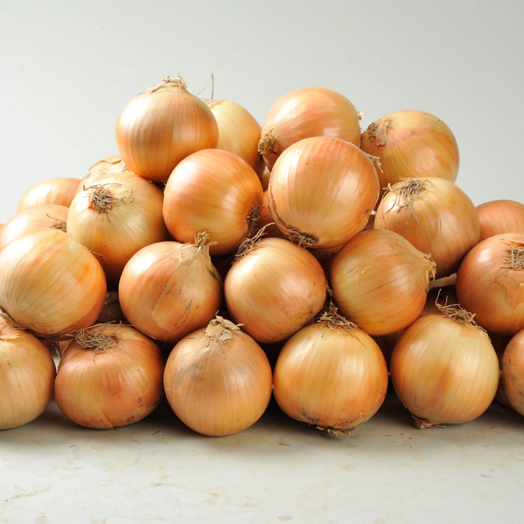 ≪令和８年産予約受付！≫美瑛選果　美瑛町産玉ねぎ10kg[010-210]