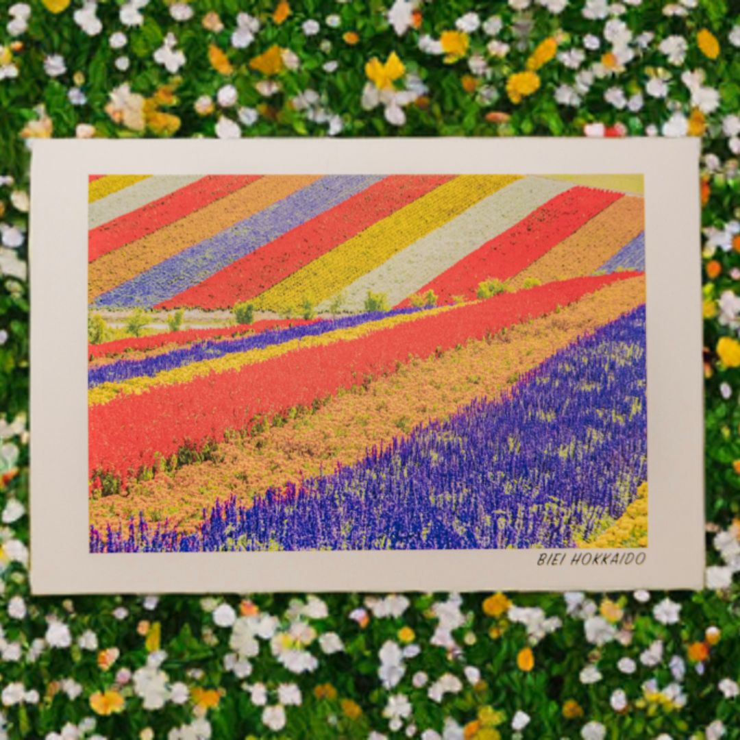 写真家 坪井 智洋 美瑛の風景 フォトカード 12枚セット [006-21]