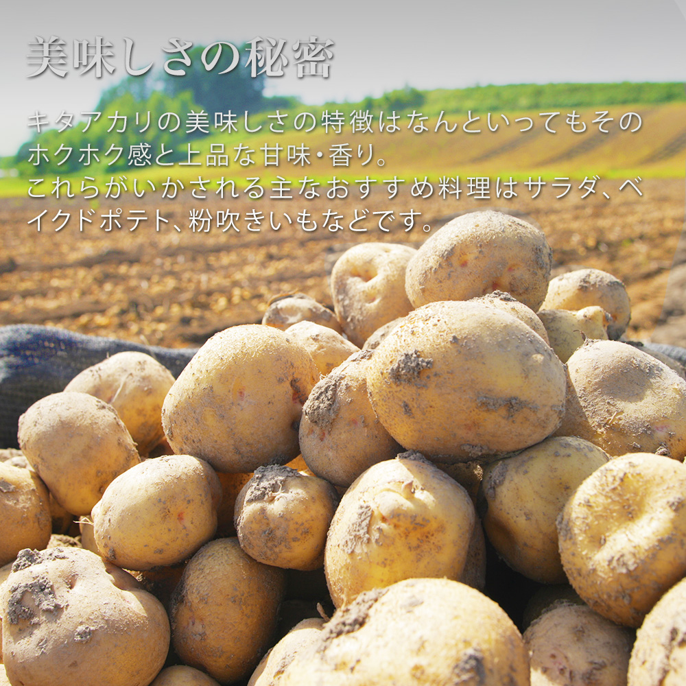 【令和８年産予約受付！】黒木農場　じゃがいも（北あかり）10kg[010-214]