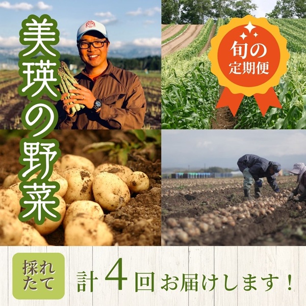 【令和８年産予約受付！】～美瑛の四季～ 野菜の定期便【白樺】[036-46]