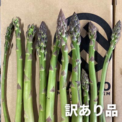 【令和8年産先行予約】北海道 美瑛町幻のアスパラ 本山農場のラスノーブル（グリーンアスパラ）≪訳あり≫ 2kg ≪3回便≫ [057-05]