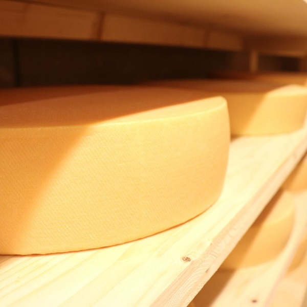 美瑛放牧酪農場　ラクレット・ド・美瑛　ハーフサイズ(2.4kg)[065-12]