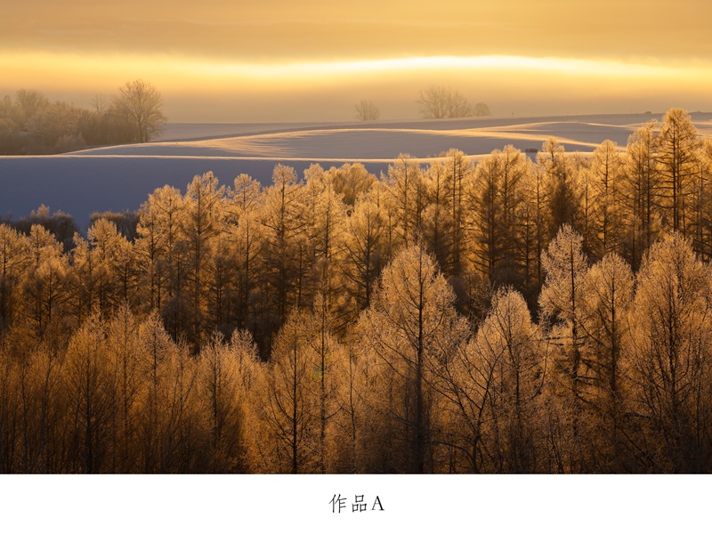 写真家　中西敏貴　額付き写真（サイン入り）[250-04]