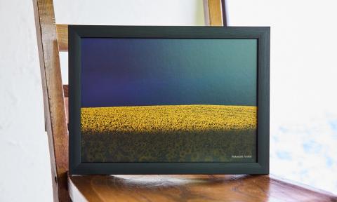 写真家　中西敏貴　A４フォトカード　３枚セットC　[010-206]