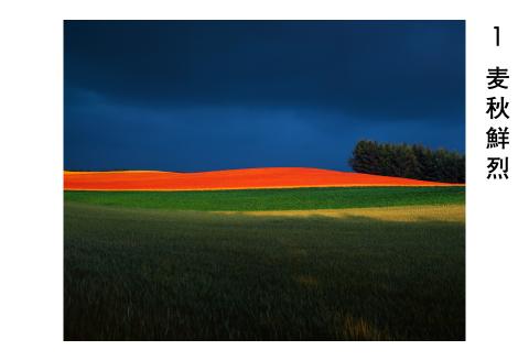 前田真三 額付き写真（白木額） 四切サイズ[120-11]