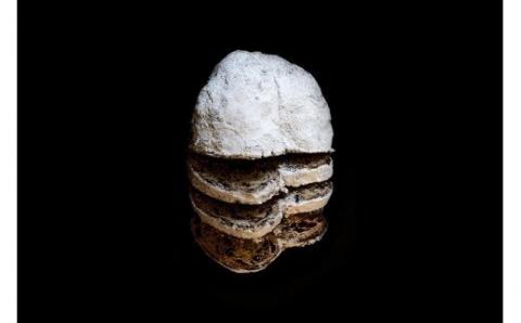 自家焙煎珈琲店GOSH　シュトーレンギフトA[020-56]