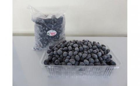 びえいハスカップファーム　美瑛産冷凍ハスカップ１ｋｇ[019-63]