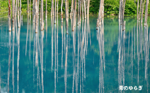 写真家　阿部俊一　額付き写真[120-06]