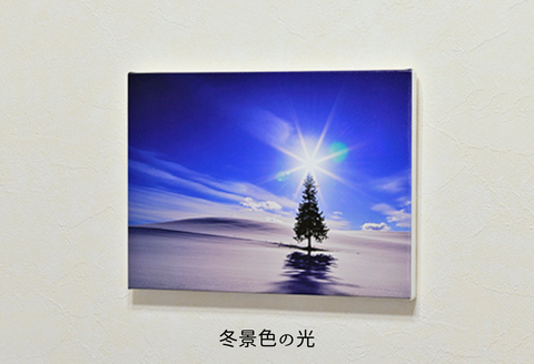 写真家　阿部俊一　キャンバスプリント（３３３ｍｍ×２４２ｍｍ）[048-05]