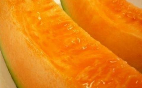 ≪令和８年産予約受付！≫美景農園　野菜の定期便（５回）[085-03]