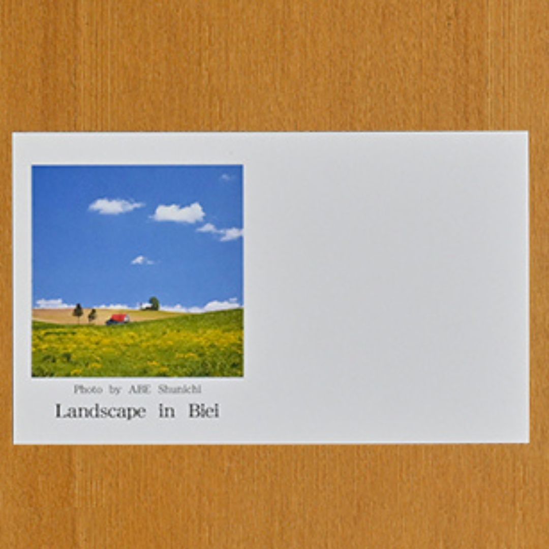 写真家　阿部俊一　名刺台紙・メッセージカード１００枚(A)[005-05]