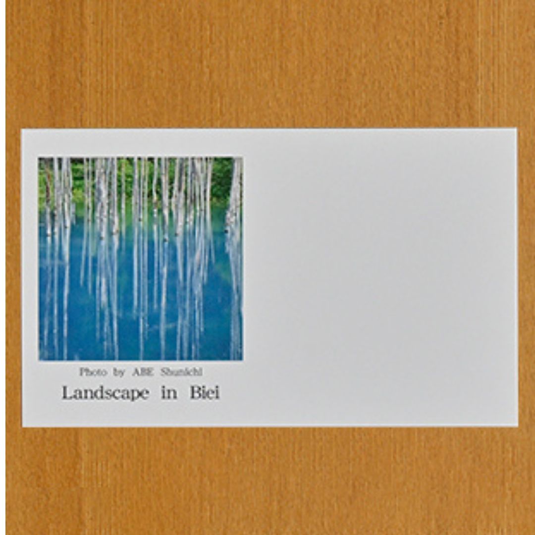 写真家　阿部俊一　名刺台紙・メッセージカード１００枚(B)[005-06]