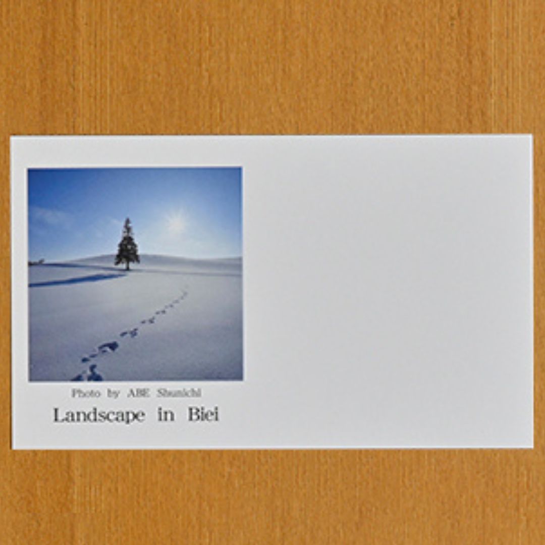 写真家　阿部俊一　名刺台紙・メッセージカード１００枚(C)[005-07]