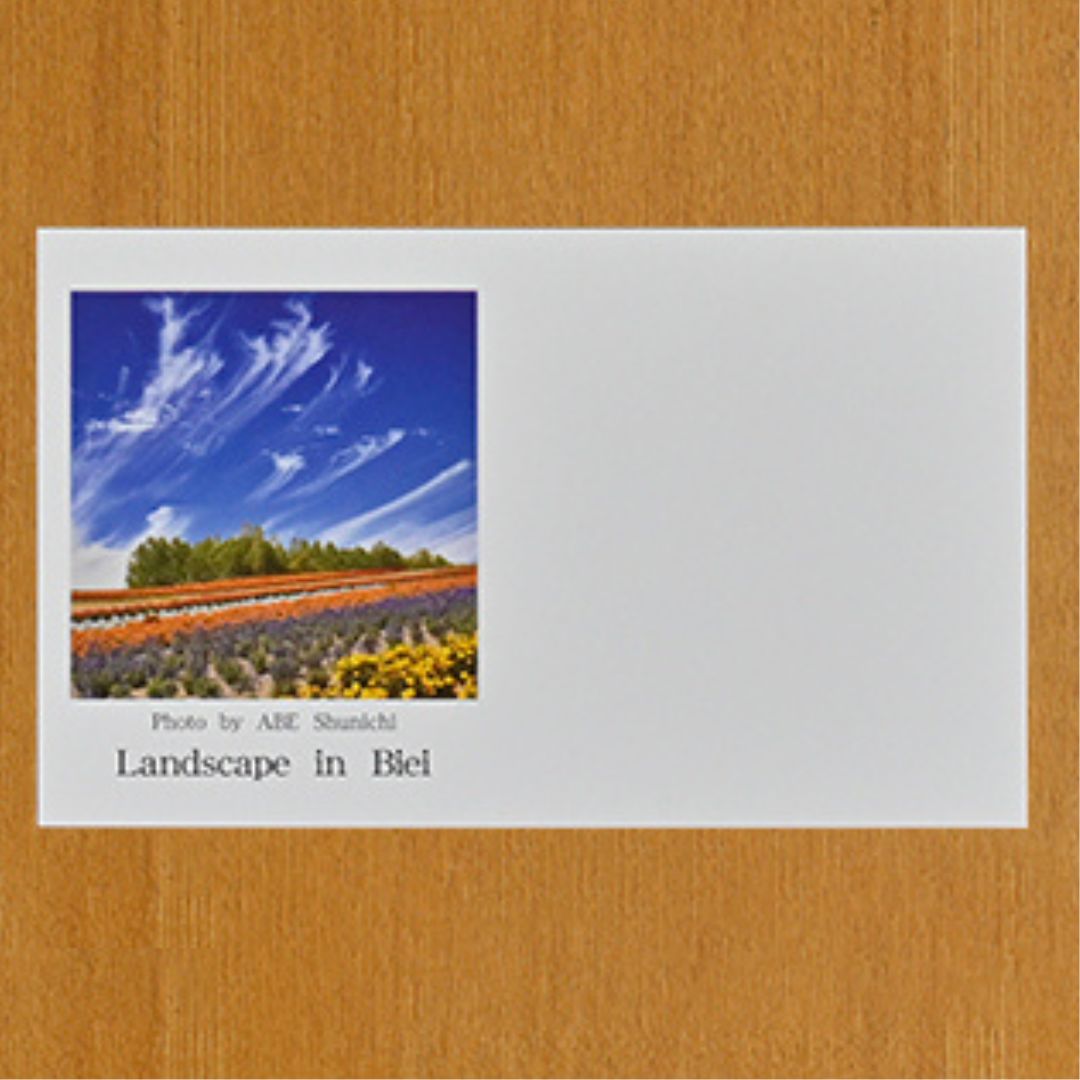 写真家　阿部俊一　名刺台紙・メッセージカード１００枚(D)[005-26]