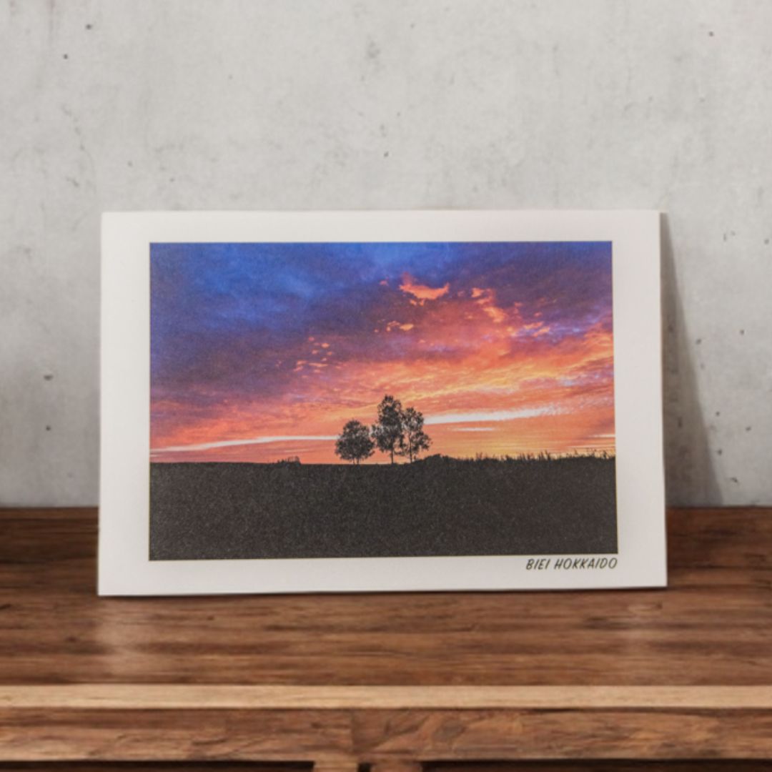 写真家 坪井 智洋 美瑛の風景 フォトカード 12枚セット [006-21]