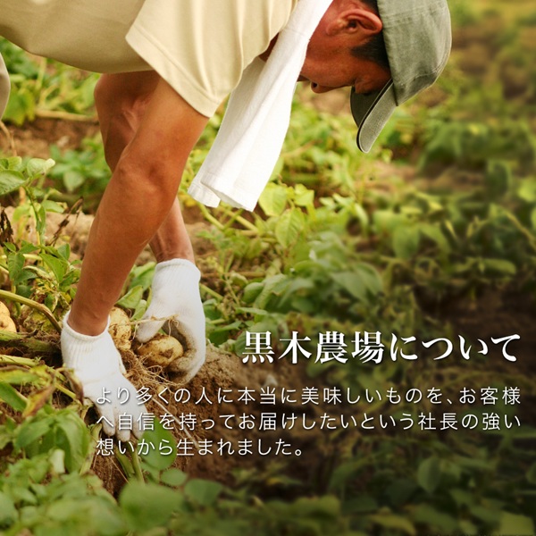 【令和８年産予約受付！】黒木農場　じゃがいも（北あかり）５kg[006-29]