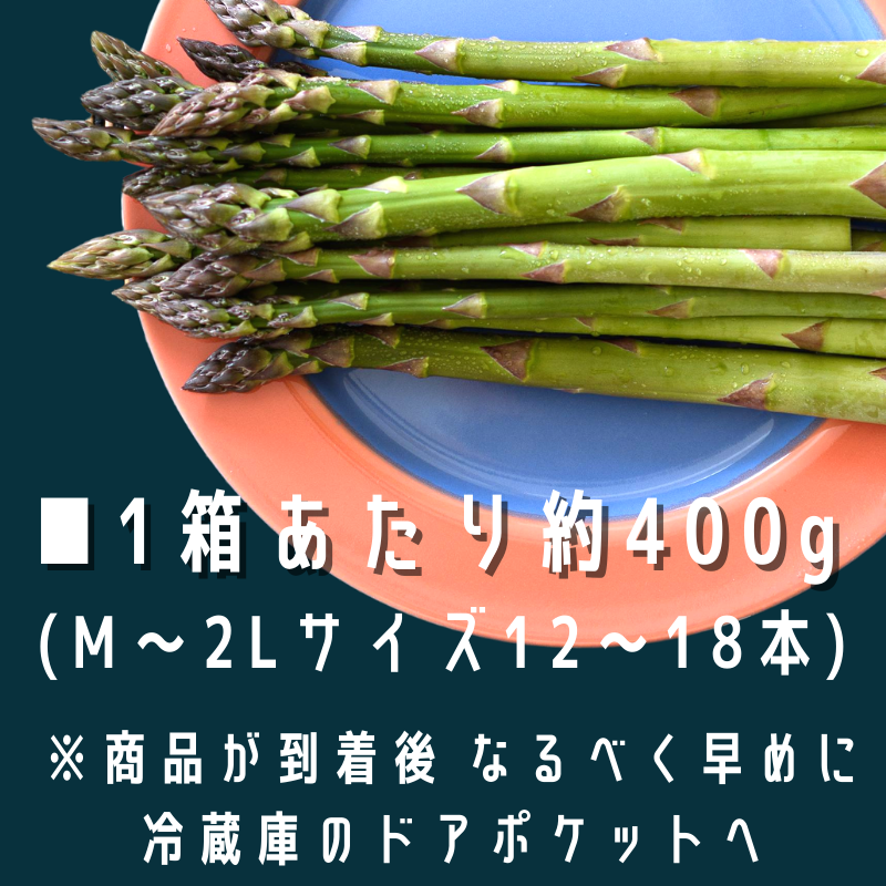 【先行予約】令和8年産！ 幻のアスパラ ラスノーブルHAKOIRI「畑発・冷蔵庫のドアポケット行」×１箱　墫乃字[012-185]