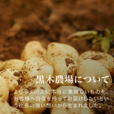 【令和８年産予約受付！】黒木農場　じゃがいも（男爵・北あかり）計10kg[010-211]