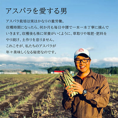 【令和8年産先行予約】美瑛町幻のアスパラ　本山農場のラスノーブル（グリーンアスパラ）M～2Lサイズ1kg[014-95]