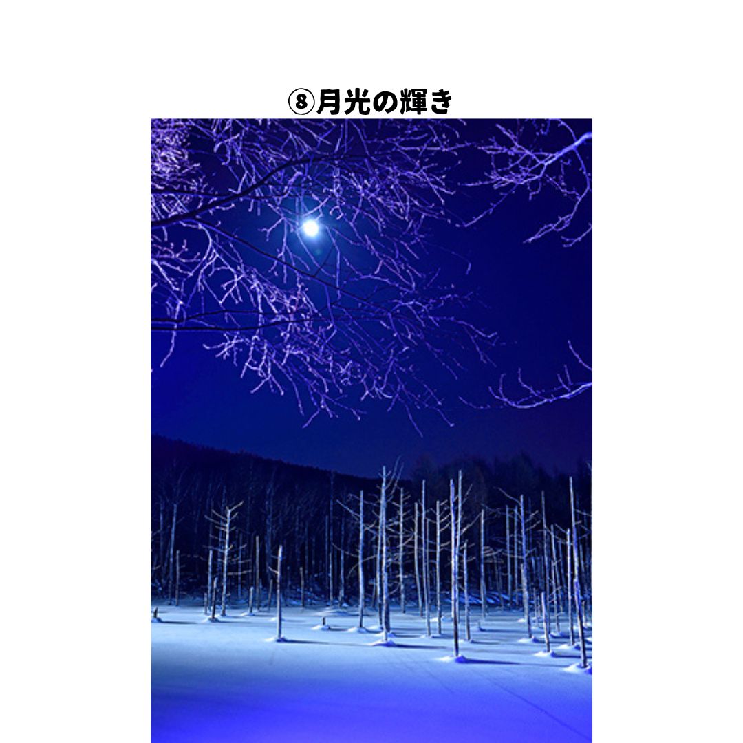 写真家　阿部俊一　額付き写真[036-20]