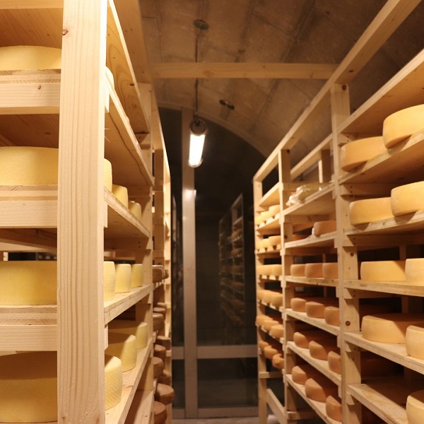 美瑛放牧酪農場　ラクレット・ド・美瑛　ハーフサイズ(2.4kg)[065-12]