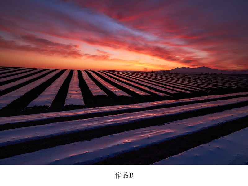 写真家　中西敏貴　額付き写真（サイン入り）[250-04]