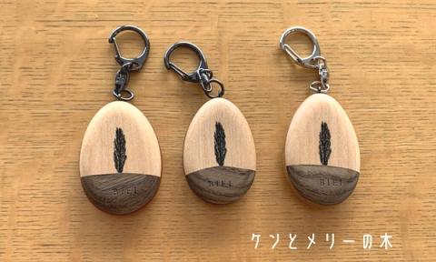 貴妃花　木ーホルダー[006-14]