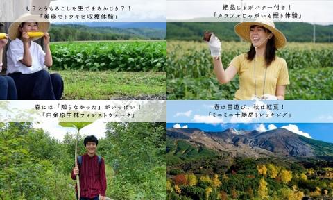 丘のまちびえいDMO　夏季アクティビティ体験クーポン３，０００円[010-147]