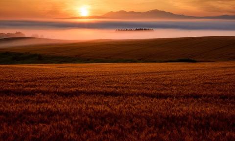 写真家　中西敏貴　A４フォトカード　３枚セットA　[010-204]