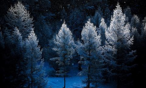 写真家　中西敏貴　A４フォトカード　３枚セットB　[010-205]