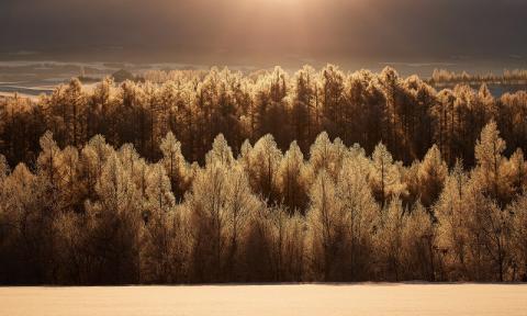 写真家　中西敏貴　A４フォトカード　３枚セットC　[010-206]