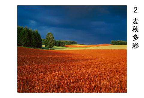 前田真三 額付き写真（白木額） 六切サイズ[084-06]