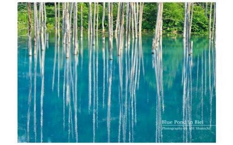 写真家　阿部俊一　クリアファイル５枚[007-16]