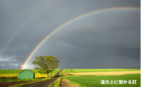 写真家　阿部俊一　額付き写真[120-06]