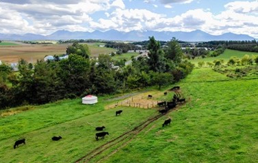 ファームズ千代田　「びえい和牛」サーロインステーキ３６０ｇ[032-15]