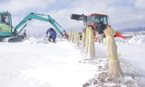 美瑛選果　美瑛町産雪室馬鈴薯 ５ｋｇ(混玉)[010-182]