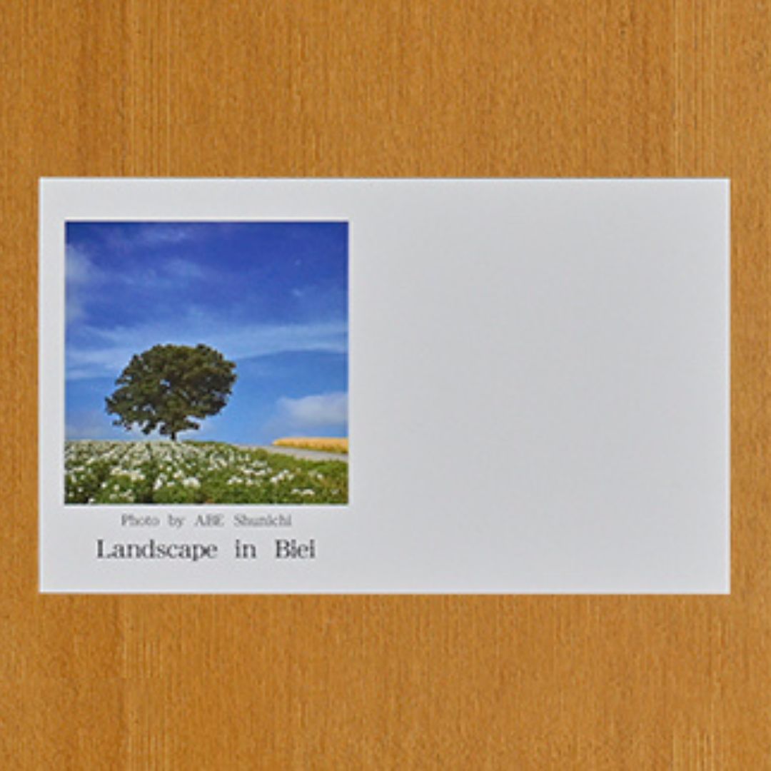 写真家　阿部俊一　名刺台紙・メッセージカード１００枚(A)[005-05]