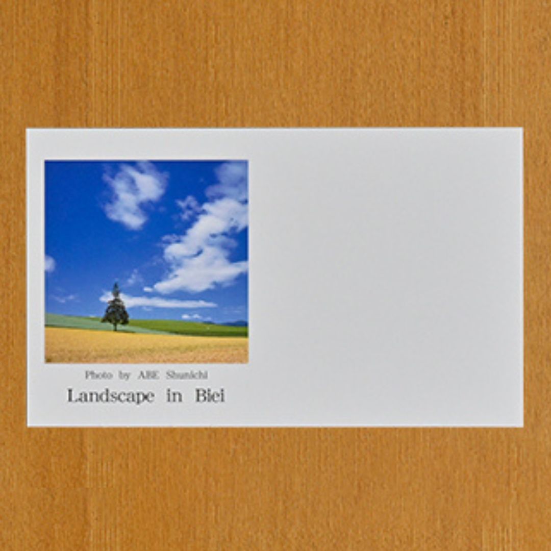 写真家　阿部俊一　名刺台紙・メッセージカード１００枚(D)[005-26]